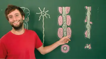 Задник до фільму "Toubib, 12 années dans la vie d