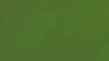 Задник до фільму "Centrefield" #1636790
