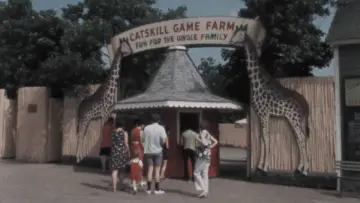 American Zoo постер