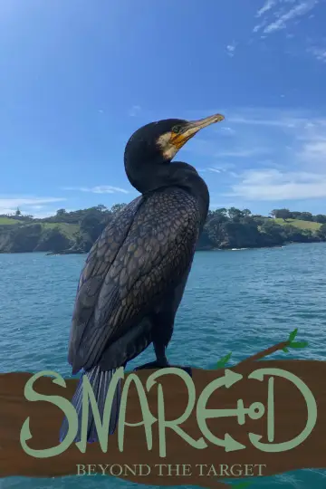 Постер до фільму "Snared" #1647250