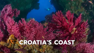 Задник до фильму"Croatias Coast - Endless and Wild" #1195132