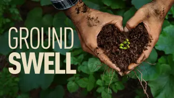 Задник до фильму"Groundswell" #910690