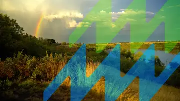 Задник до фильму"A Vision for the Valley: The Untold Story of the Meewasin Logo" #824024