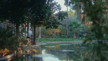 Задник до фільму "Le rose di Marrakech" #1896065