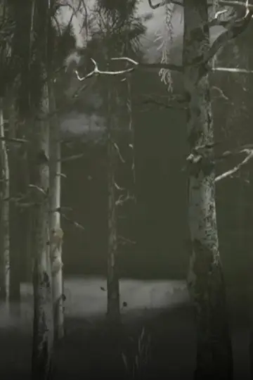 Постер до фильму"El que camina al lado" #820637