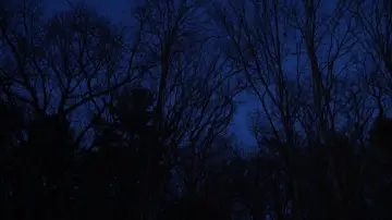 Задник до фильму"Hollow Walker of the Lake" #825892