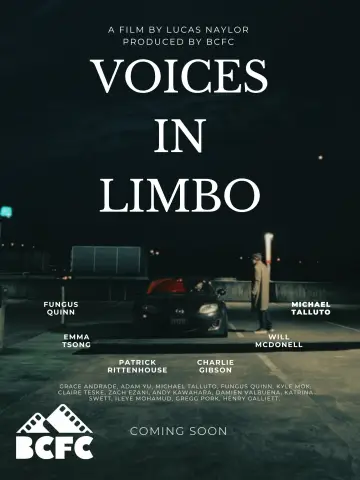 Voices In Limbo постер
