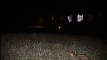 Задник до фильму"The Lurker" #969840