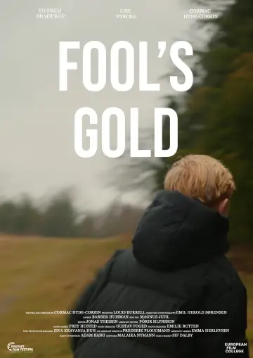 Постер до фильму"Fool