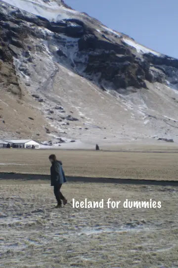 Постер до фильму"Iceland for Dummies" #822916