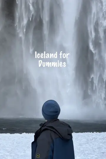 Постер до фильму"Iceland for Dummies" #822917