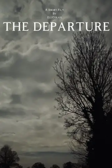 Постер до фильму"The Departure" #823639
