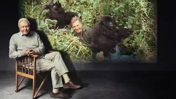 Задник до фильму"Making Life on Earth: Attenborough’s Greatest Adventure" #916408