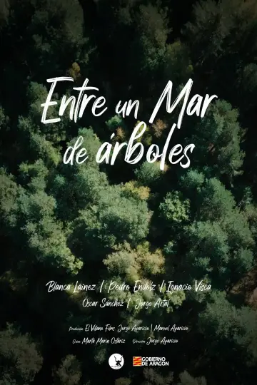 Постер до фильму"Entre un mar de árboles" #823707