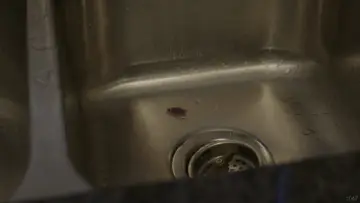 Задник до фильму"ROACH!" #825246