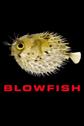 Blowfish постер
