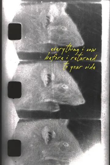 Постер до фильму"everything i saw before i returned to your side" #824951