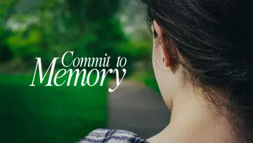Задник до фильму"Commit to Memory" #845479