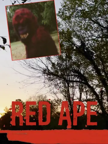 Постер до фильму"Red Ape" #821681