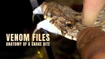 Задник до фильму"Venom File - Anatomy of a snake bite" #878167