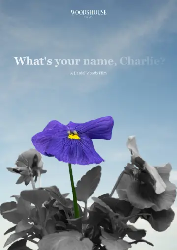 Постер до фильму"What