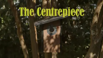 Задник до фильму"The Centrepiece" #823995