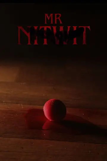 Mr Nitwit
