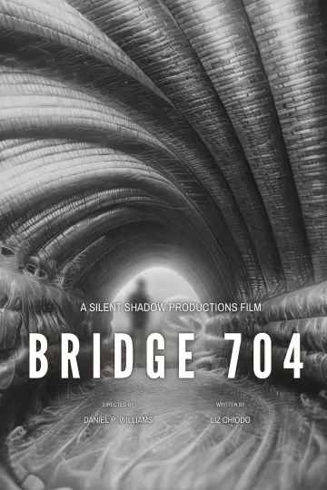 Bridge 704