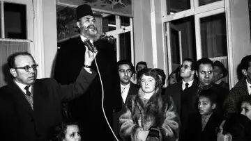 Задник до фильму"Messali Hadj - Une vie au service du peuple algérien" #964247