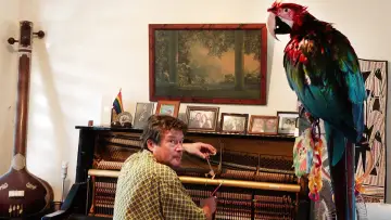 Задник до фільму "The Piano Tuner" #844363