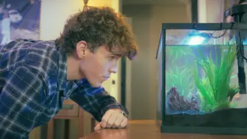 Задник до фильму"The Fishsitter" #824829