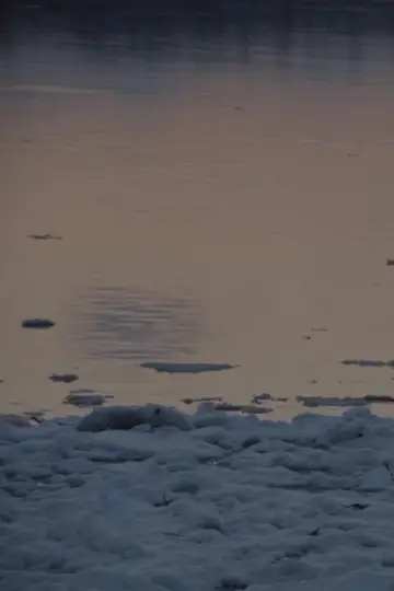 Постер до фильму"there