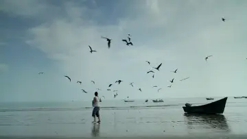 Задник до фільму "Pescador" #745582