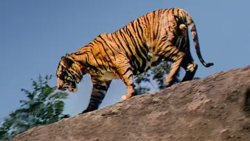Задник до фільму "Jungle Cat" #1873648