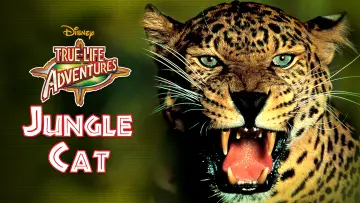 Задник до фільму "Jungle Cat" #1873649