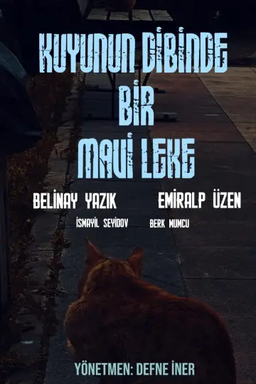 Постер до фильму"Kuyunun Dibinde Bir Mavi Leke" #845734
