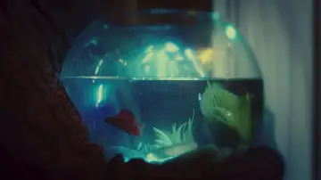 Задник до фільму "Betta" #1646023