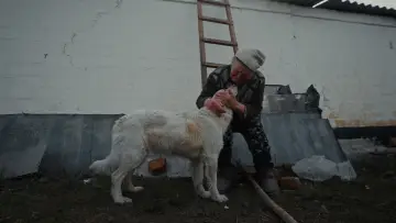 Задник до фільму "Рятуй" #1647052