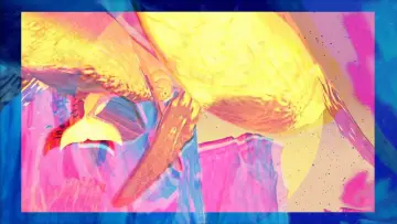 Задник до фильму"Fantasia 2025" #921846