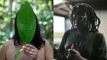 Задник до фильму"Guyane, amours taboues" #826630