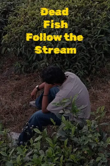 Постер до фильму"Dead Fish Follow the Stream" #922682