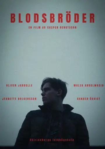 Постер до фільму "Blodsbröder" #863603