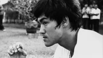 Задник до фильму""Opération dragon", la révolution Bruce Lee" #1159600