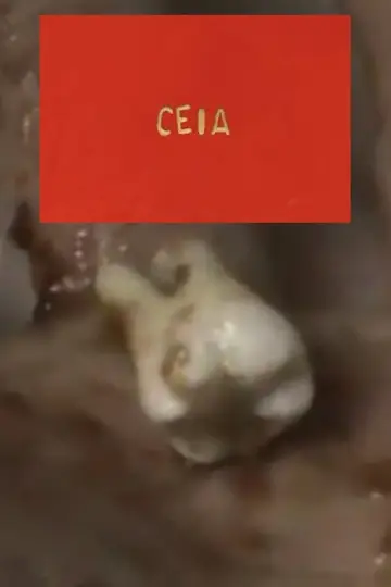Постер до фильму"Ceia" #922045