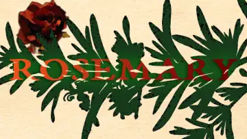 Задник до фильму"Rosemary" #919060