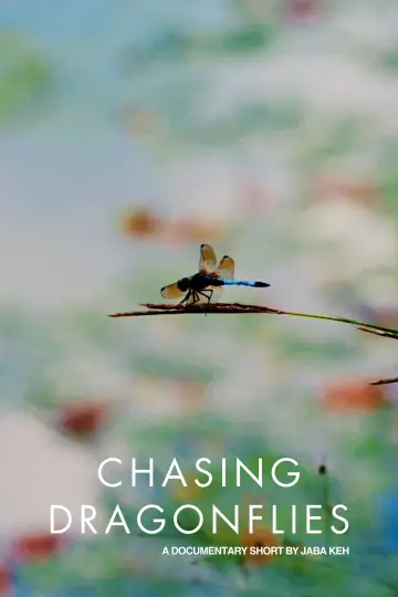Постер до фильму"Chasing Dragonflies" #917983