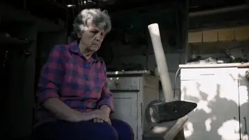 Задник до фільму "Pionul lui Lenin" #912264