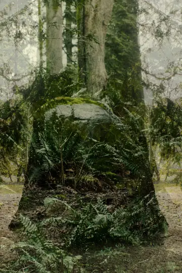 Постер до фильму"Vertical Remains" #912946