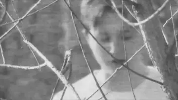 Задник до фильму"Montage of Vitrine" #917728