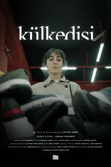 Постер до фильму"Külkedisi" #920176